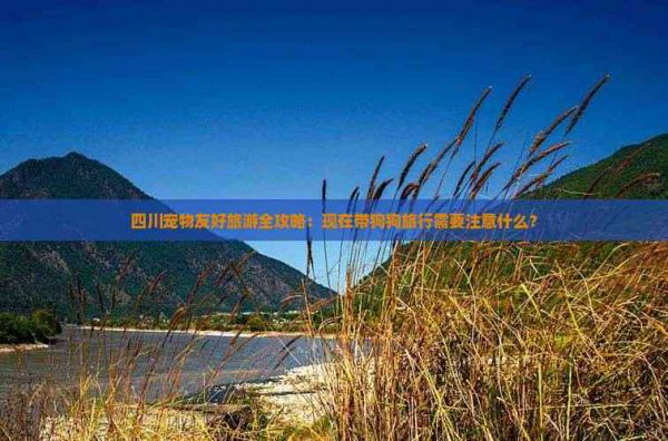 四川宠物友好旅游全攻略：现在带狗狗旅行需要注意什么？