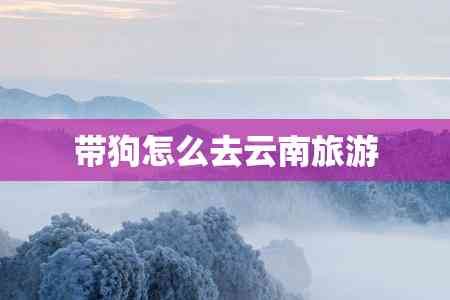 带狗怎么去云南旅游
