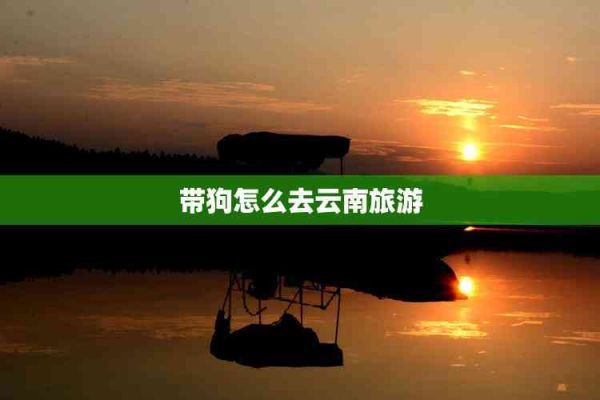 带狗怎么去云南旅游