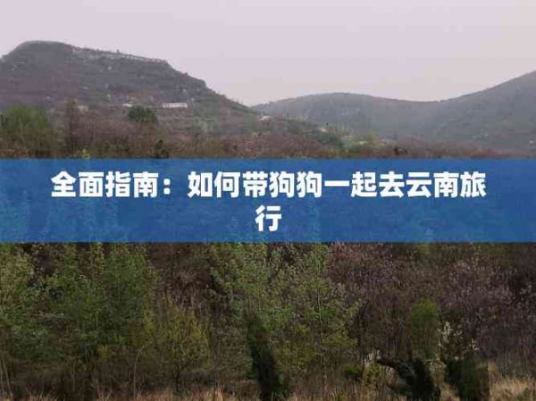 全面指南：如何带狗狗一起去云南旅行