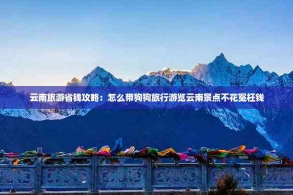 云南旅游省钱攻略：怎么带狗狗旅行游览云南景点不花冤枉钱