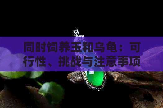 同时饲养玉和乌龟：可行性、挑战与注意事项