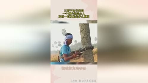 三哥不走寻常路，一个操作惊呆众人，掌握一项技能是多么重要