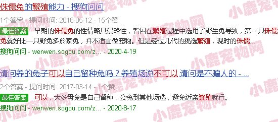 侏儒兔可以自家繁殖吗