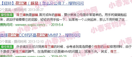 豚鼠性别对照图