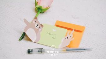 手工小猫教程,宠物爱好者必看!