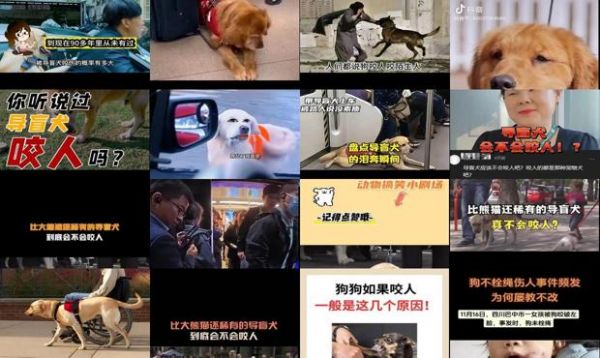 全世界有导盲犬咬人的案例吗
