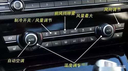 宝莲灯鱼繁殖攻略,新手必看!