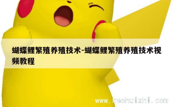 蝴蝶鲤繁殖养殖技术-蝴蝶鲤繁殖养殖技术视频教程 第1张