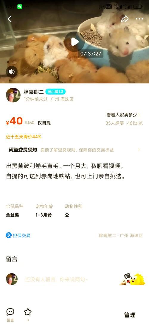 快递寄仓鼠：快递寄仓鼠怎么收费