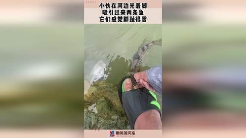 小伙在河边光着脚，吸引过来两条鱼，它们感觉脚趾很香！