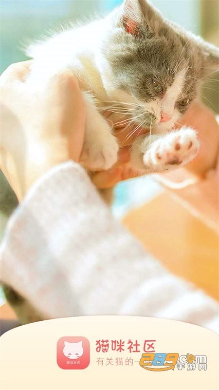 新版猫社区app官方手机版
