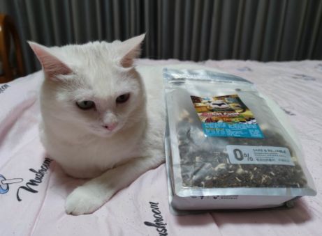 熊出没猫粮：宠物猫的专属美食