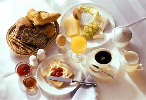 自制宠物美食，营养搭配指南