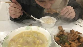 猫咪美食有哪些？这些美味佳肴猫咪都爱吃吗？