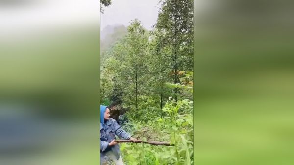 有小伙伴认出我弄得是什么吗大山里的生活