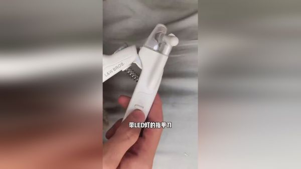有同款的黑瓜子的吗铲屎官日常