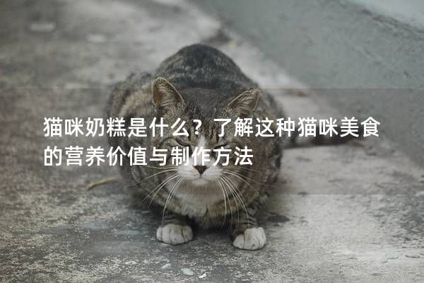 猫咪奶糕是什么？了解这种猫咪美食的营养价值与制作方法