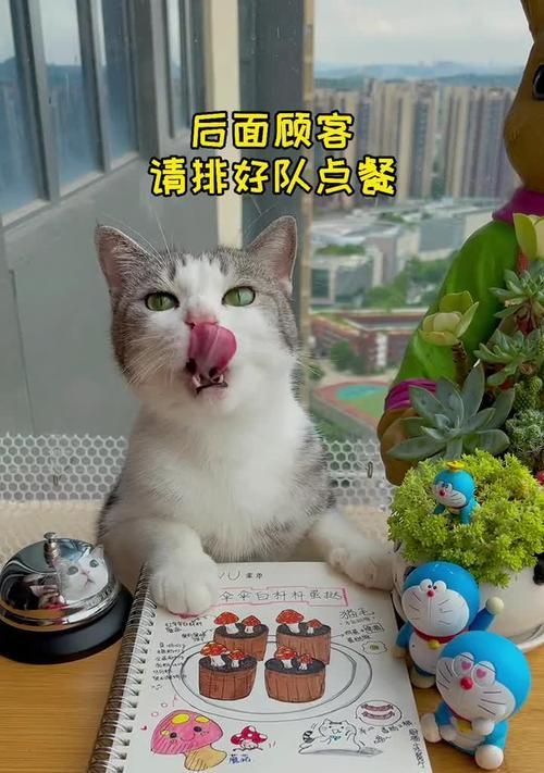 宠物猫蛋糕的制作（以猫咪为主题）