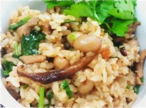 在家如何给猫咪做美食呢?用剩饭剩菜也能做出美味佳肴吗?