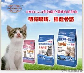 “猫咪美食秘籍，轻松做猫粮！”