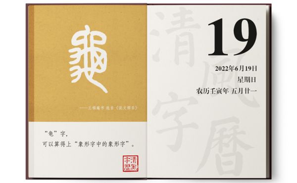 6-19龟.png