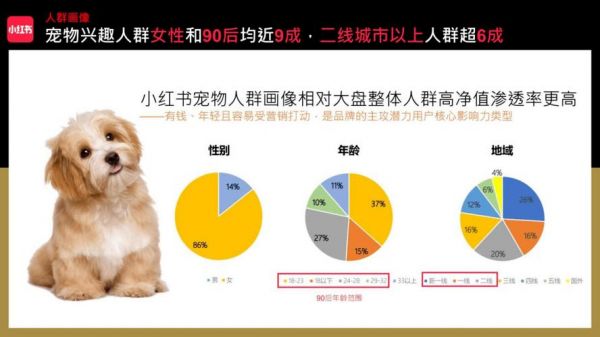 小红书萌宠日常现状如何？宠物博主的真实养宠心得分享-图2