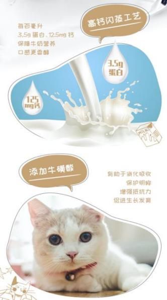 宠物蛋白低？营养补充攻略！