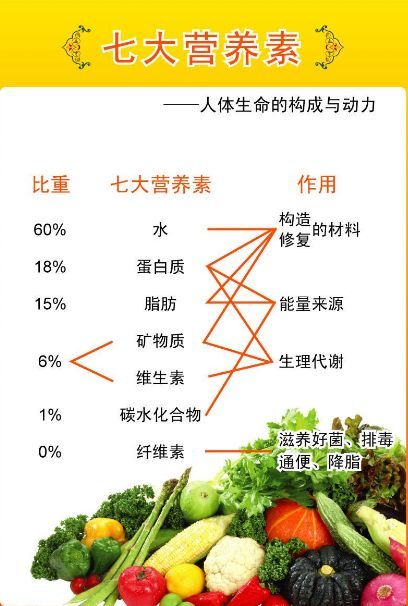 宠物蛋白低？营养补充攻略！