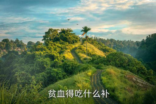  贫血得吃什么补
