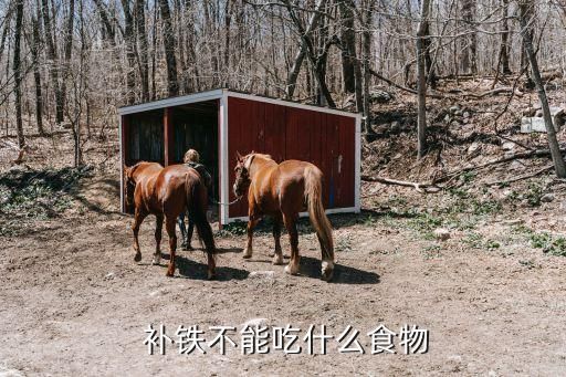  补铁不能吃什么食物