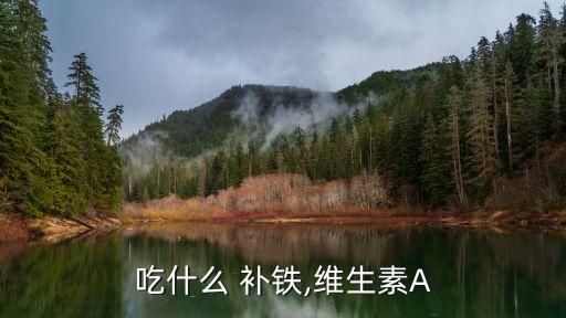 吃什么 补铁,维生素A