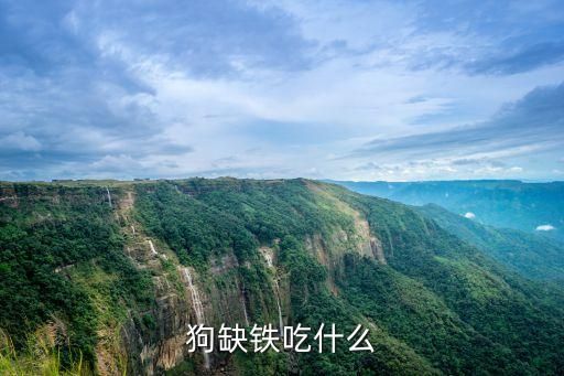 狗缺铁吃什么