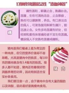 助幼犬贫血恢复：科学饮食，精心养护