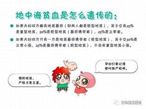 助幼犬贫血恢复：科学饮食，精心养护