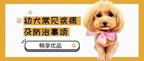幼犬贫血：症状、治疗、预防全解析