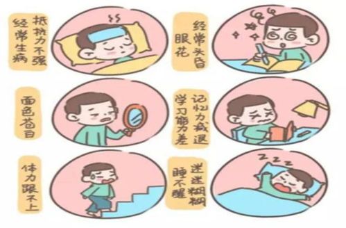 幼犬贫血：症状、治疗、预防全解析