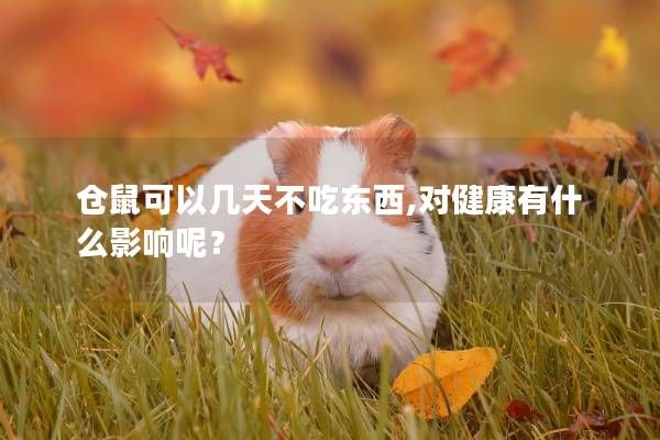 仓鼠可以几天不吃东西,对健康有什么影响呢？