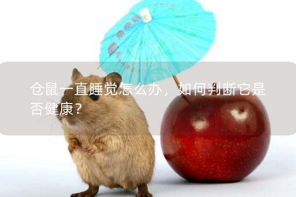 仓鼠一直睡觉怎么办，如何判断它是否健康？
