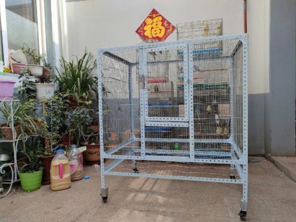 自制鹦鹉飞行笼