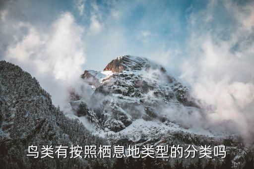 鸟类有按照栖息地类型的分类吗