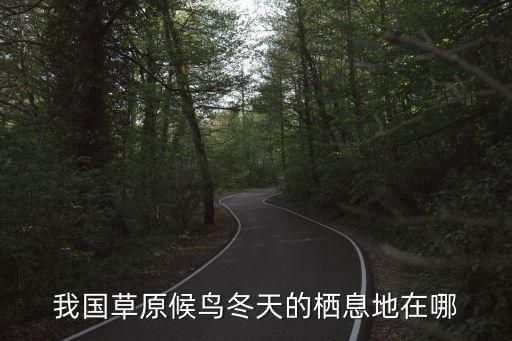 我国草原候鸟冬天的栖息地在哪