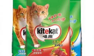 喵趣猫粮到底怎么样