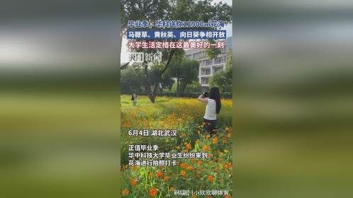毕业季，华科大送毕业生12900㎡花海