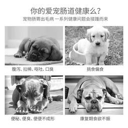 宠物肠：如何为宠物选择最佳肠道保健产品？国内十大宠物肠道保健产品排行榜
