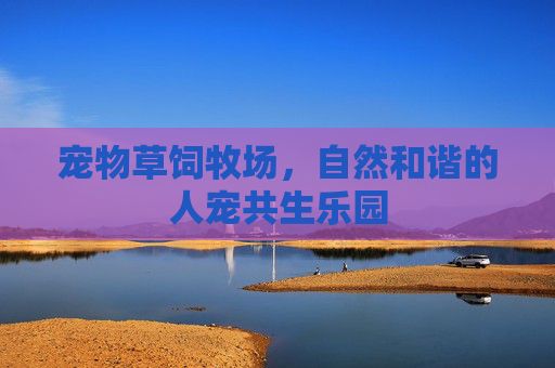 宠物草饲牧场，自然和谐的人宠共生乐园