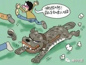 “宠物咬人,责任谁担?#宠物法律小知识#”