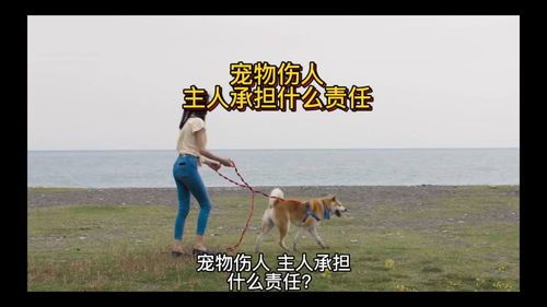 “宠物咬人,责任谁担?#宠物法律小知识#”