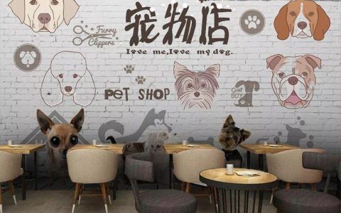如何运营好一家宠物店？宠物店创业计划书（范本3篇）