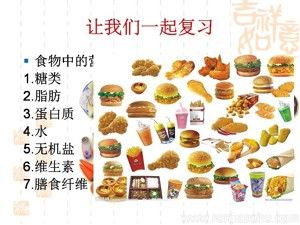 《与生物学有关的职业　营养师》PPT课件(山西省县级优课).ppt